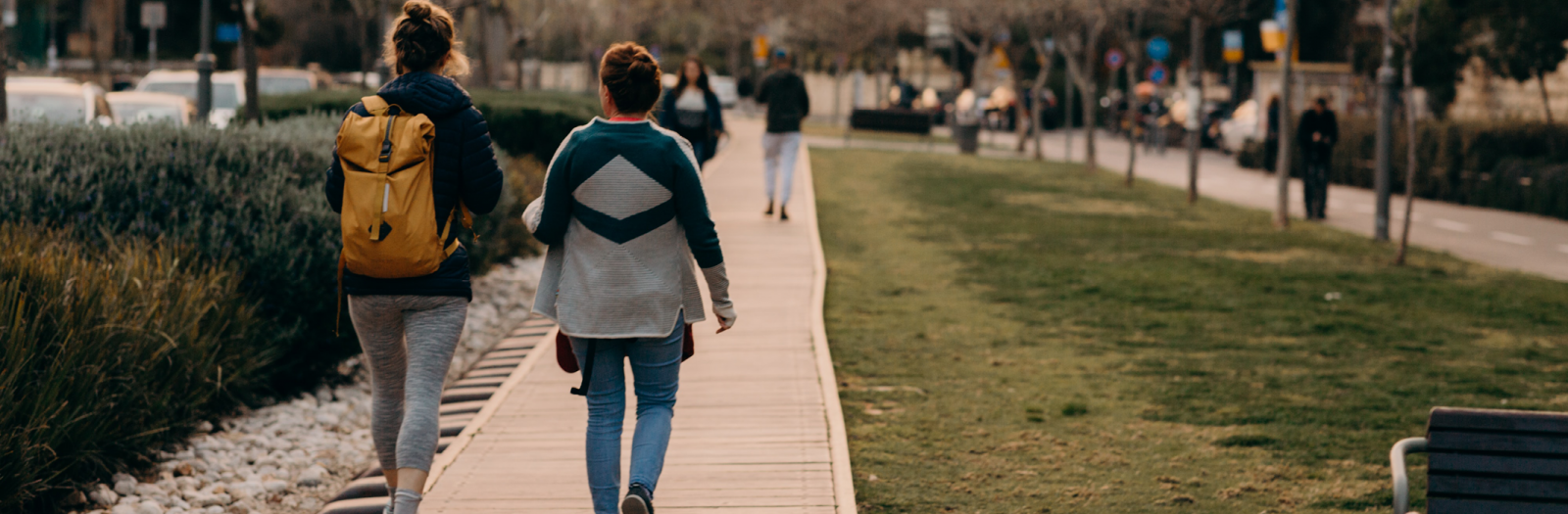 Ort Braude College Israele