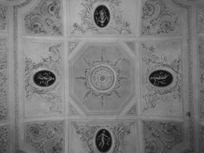 Palazzo Terzi: particolare del soffitto con stucchi ottocenteschi