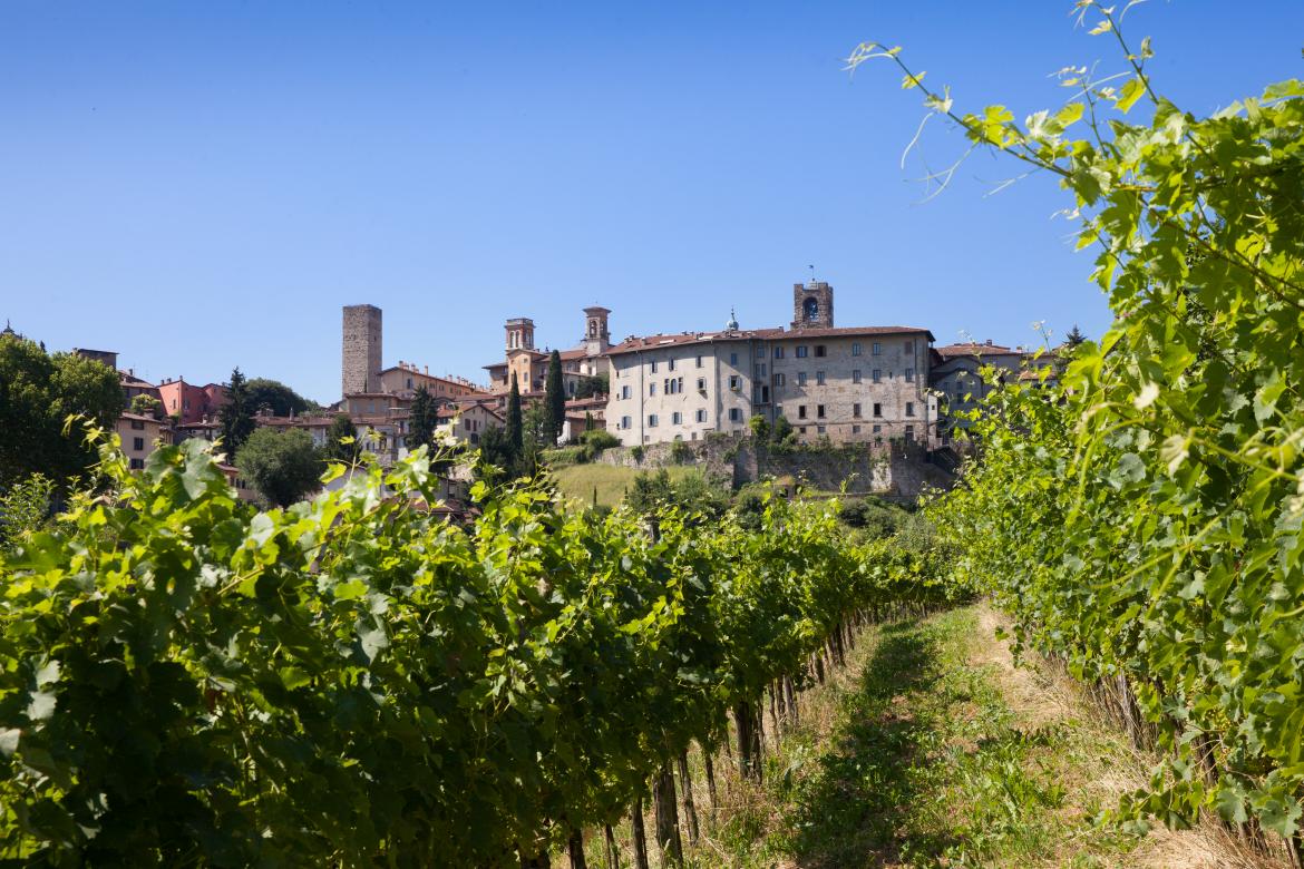 Immagine di Città Alta immersa nel verde