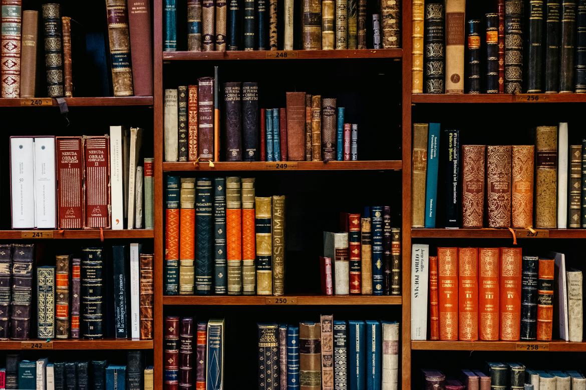 Libreria con scaffali e libri antichi