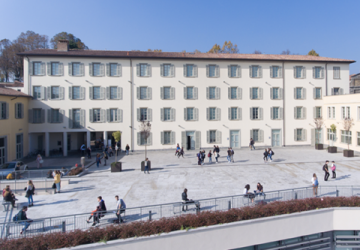 Pignolo
